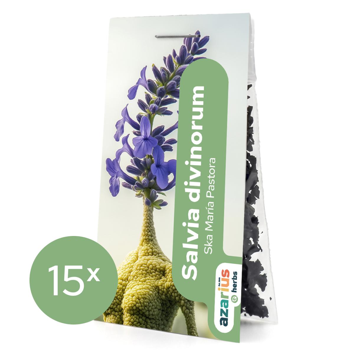 Salvia Divinorum 1x