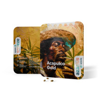 Acapulco Gold - Wietzaadjes Van Azarius Seeds