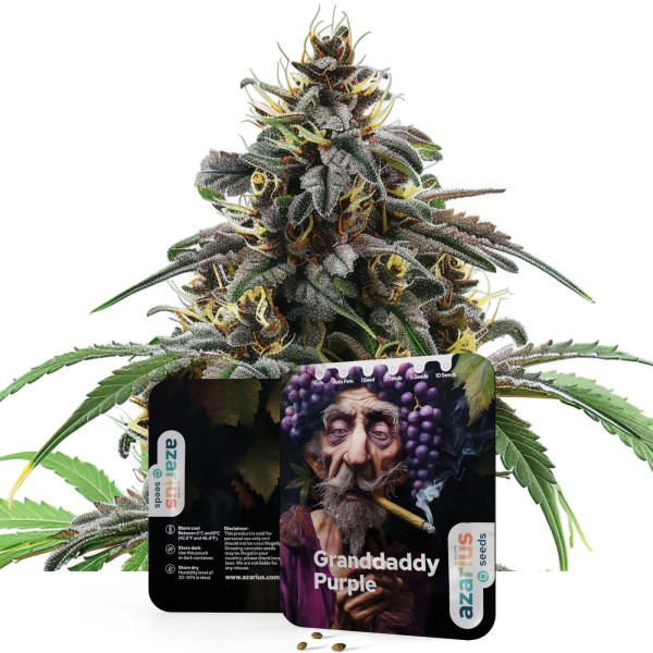 Granddaddy Purple | Feminized Wietzaadjes van Azarius