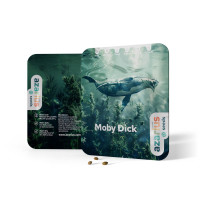 Moby Dick | Cannabis Seeds by Azarius