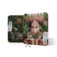 Thai Dream Gefeminiseerde Cannabiszaden van Azarius