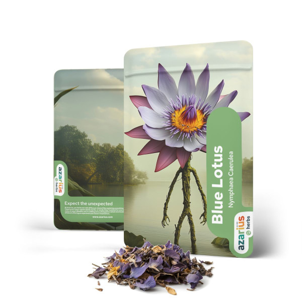 Buy Blue Lotus Dried Leaves at Azarius