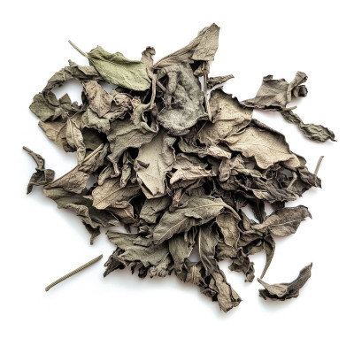 Salvia Divinorum leaves