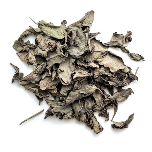 Salvia Divinorum bladeren