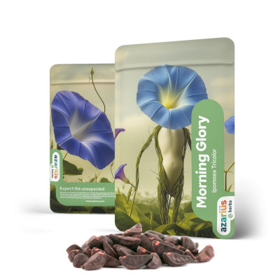 Bestel Premium Morning Glory Zaden Bij Azarius