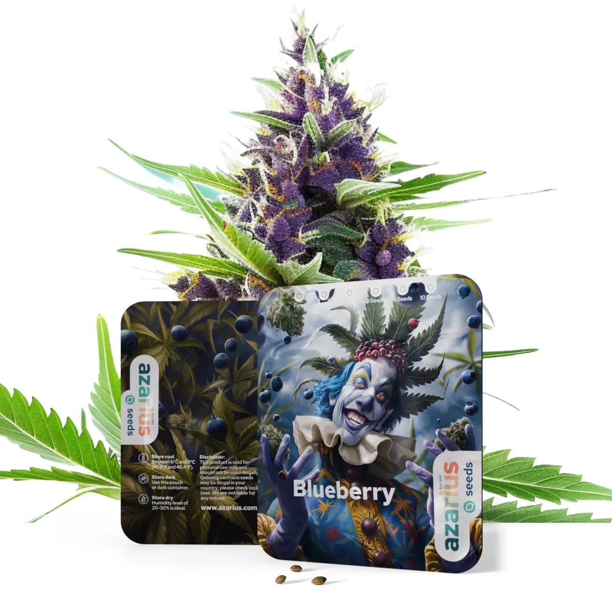 Blueberry