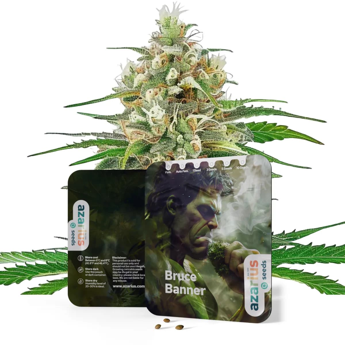Bruce Banner