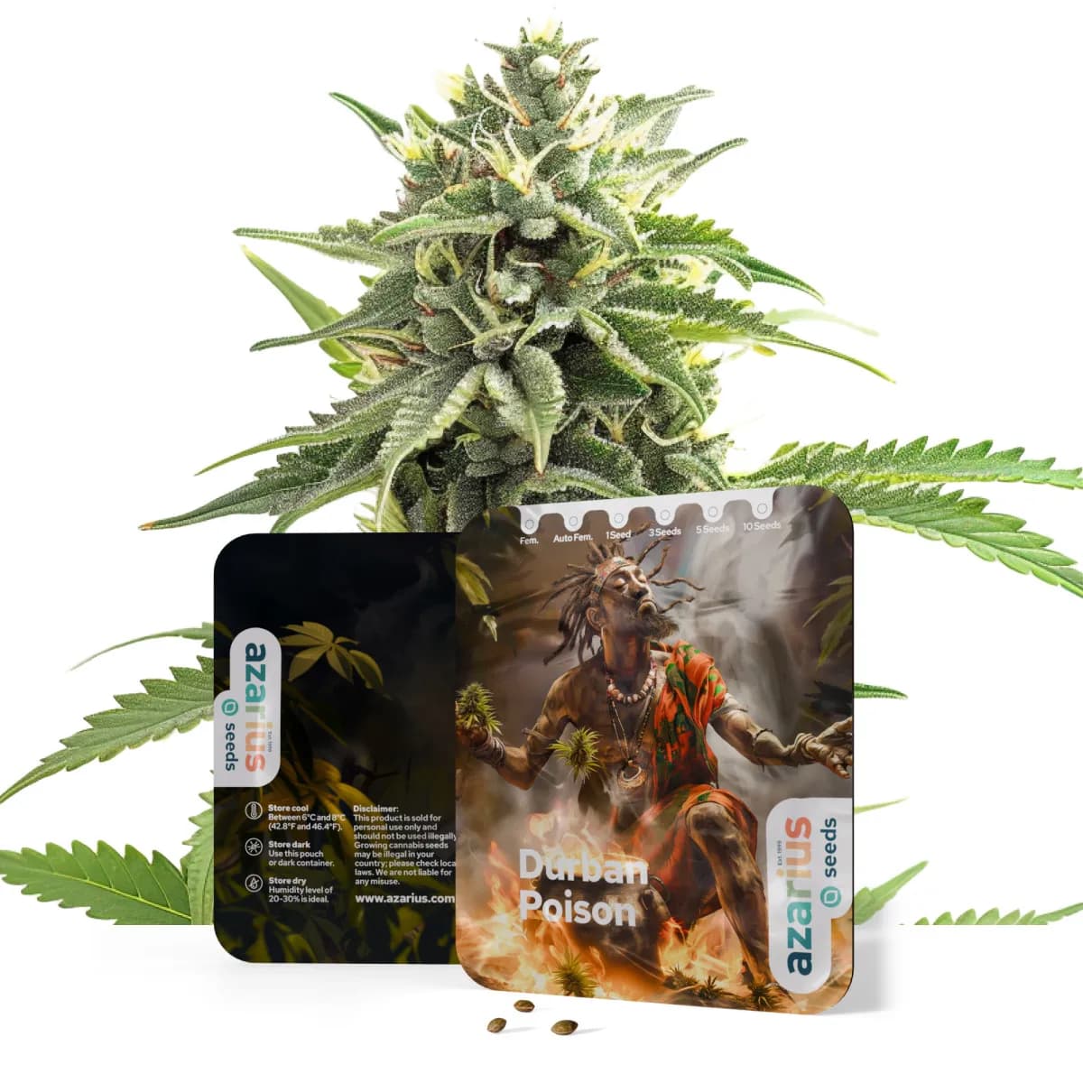 Durban Poison