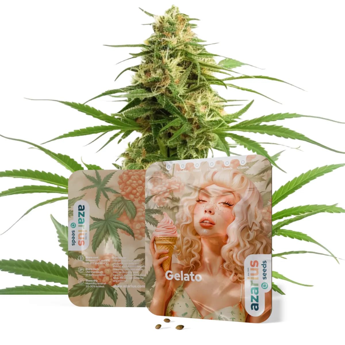 Gelato
