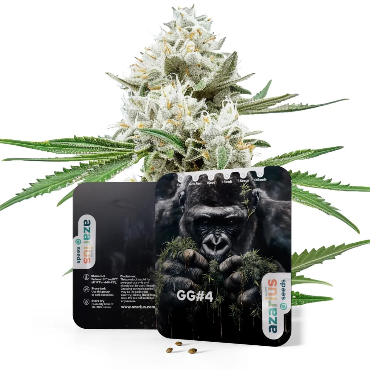 GG4