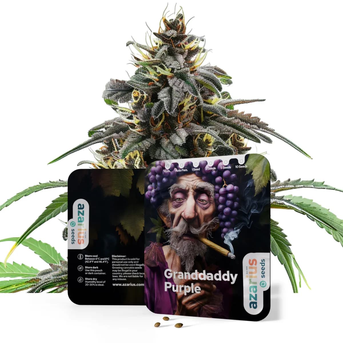 Granddaddy Purple