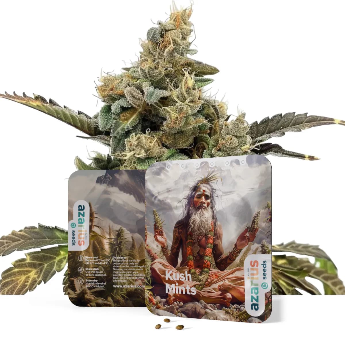 Kush Mints