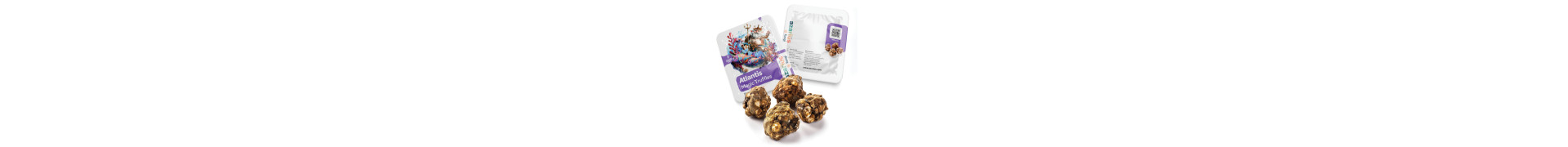 Magic Truffels Kopen | Ontdek  Magic Truffels Soorten